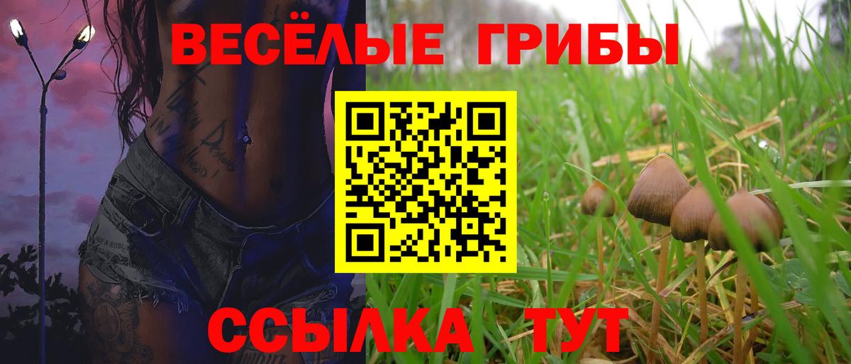 Галлюциногенные грибы Cubensis Орск